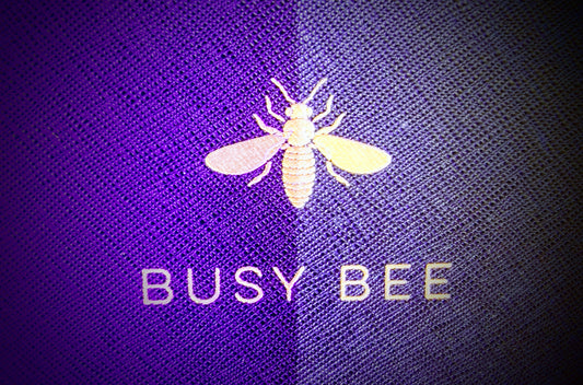 Busy Bee Coaching